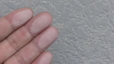 変換 ～ PIC_0345.jpg