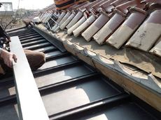 変換 ～ 84516.jpg