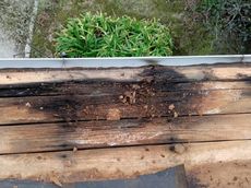 変換 ～ 84523.jpg