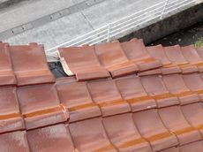 変換 ～ 84763.jpg