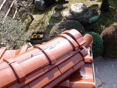 変換 ～ 84766.jpg