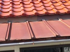 変換 ～ CIMG0092.jpg