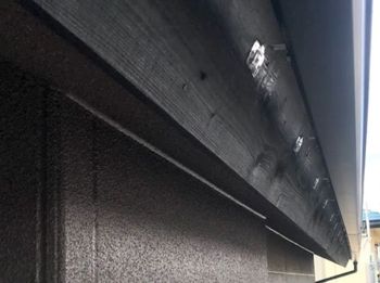 変換 ～ IMG_2242.jpg