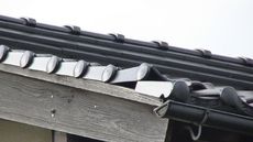 変換 ～ PIC_0575.jpg