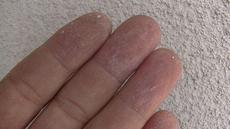 変換 ～ PIC_0933.jpg