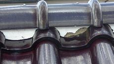 変換 ～ PIC_0909.jpg