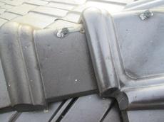 変換 ～ IMG_9806.jpg