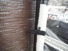 変換 ～ DSCF7062.jpg