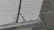 変換 ～ PIC_0503.jpg