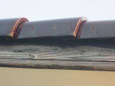 変換 ～ IMG_8967.jpg