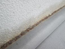 変換 ～ IMG_9899.jpg