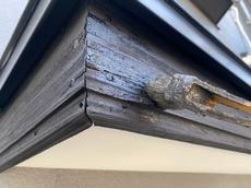 変換 ～ 荳牙ｳｶ驍ｸ_210514_15.jpg