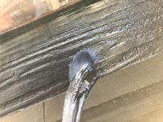 変換 ～ 荳牙ｳｶ驍ｸ_210514_35.jpg