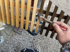 変換 ～ S__20963398.jpg