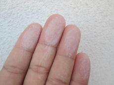 変換 ～ IMG_8947.jpg