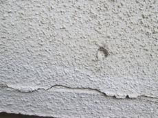 変換 ～ IMG_8955.jpg