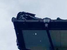 変換 ～ 現調　u様邸　瓦修繕 20220114  j事例000008.jpg