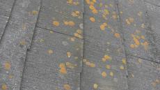 変換 ～ 20211111 屋根外壁　K様　板垣　出雲店事例　前000040.jpg