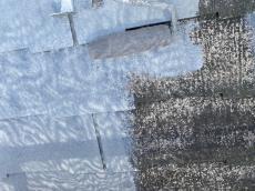 変換 ～ 20211221施工中 事例　Ｉ様　小山　毛利　外壁塗装　植栽000072.jpg