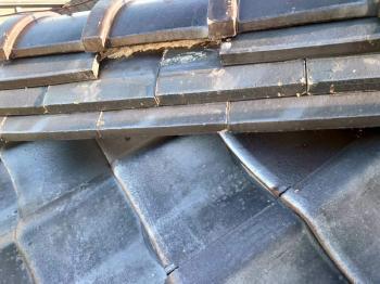 変換 ～ 施行中　u様邸　瓦修繕 20220114  j事例000003.jpg