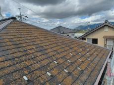 変換 ～ 20211225事例施工中　屋根外壁塗装セミナー参加によりg様000005.jpg