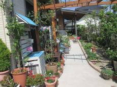 変換 ～ 20211221現調 事例　Ｉ様　小山　毛利　外壁塗装　植栽000009.jpg