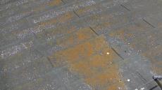 変換 ～ 20211221現調 事例　Ｉ様　小山　毛利　外壁塗装　植栽000024.jpg